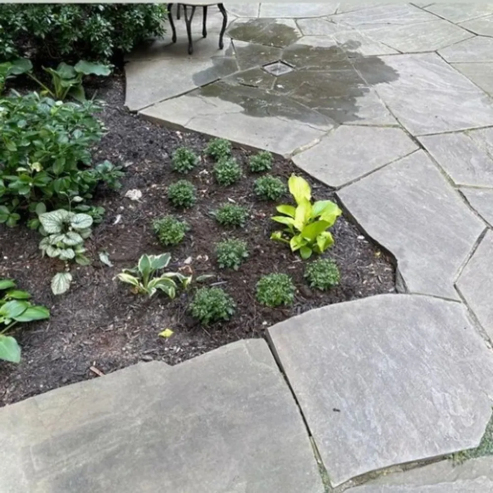 Local landscaping services experts serving Mount Vernon, NY - Blueocean Innovatived Landscape
