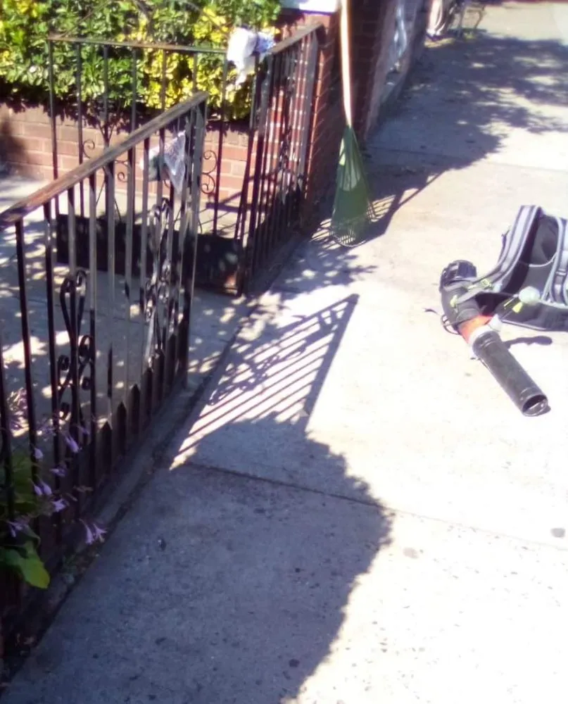 Affordable residential landscaping for outdoor upgrades across Mount Vernon, NY - Blueocean Innovatived Landscape