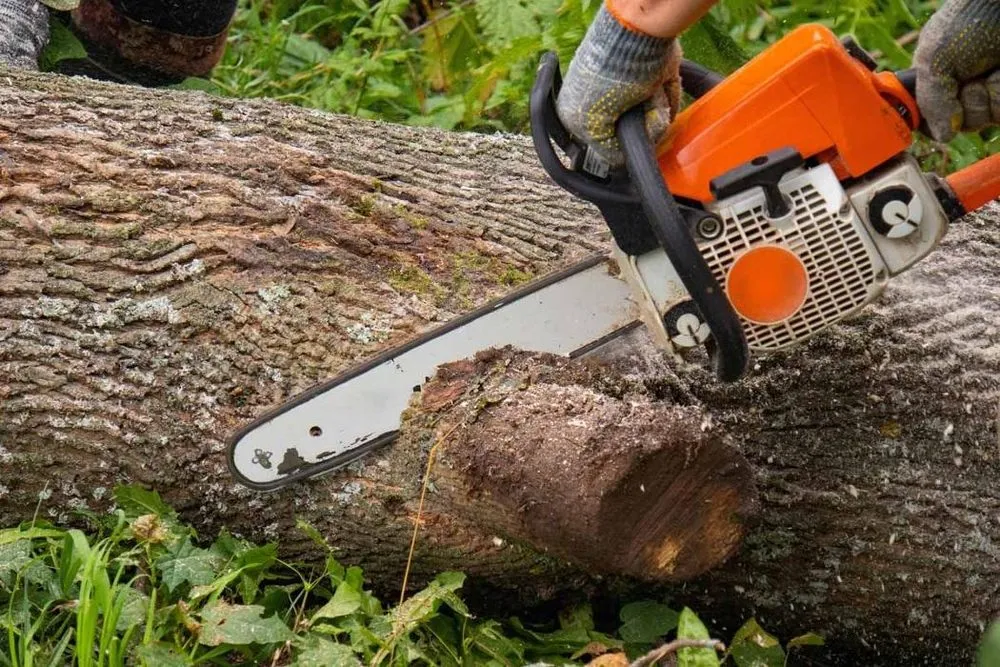 Expert lawn mowing service near you in Front Royal, VA by Blueridge Construction and Excavating