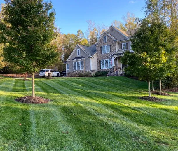 Trusted lawn mowing service in Blue Ridge, GA by Blueridge Maintenance Solutions