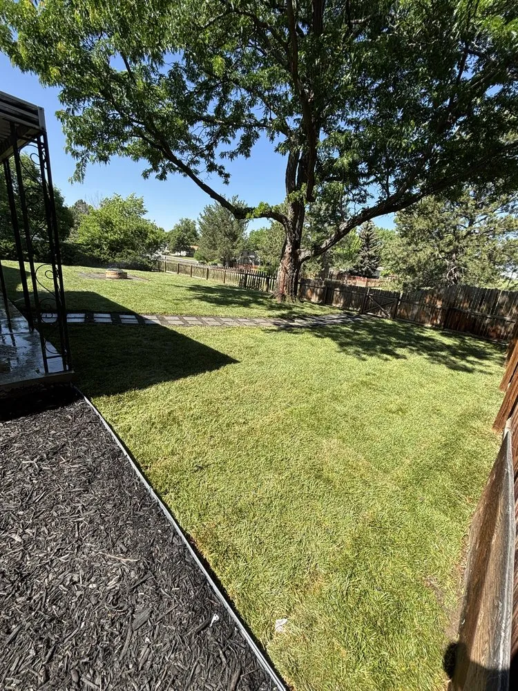 Local landscaping services in Thornton, CO - Bluerock Landscape & Concrete