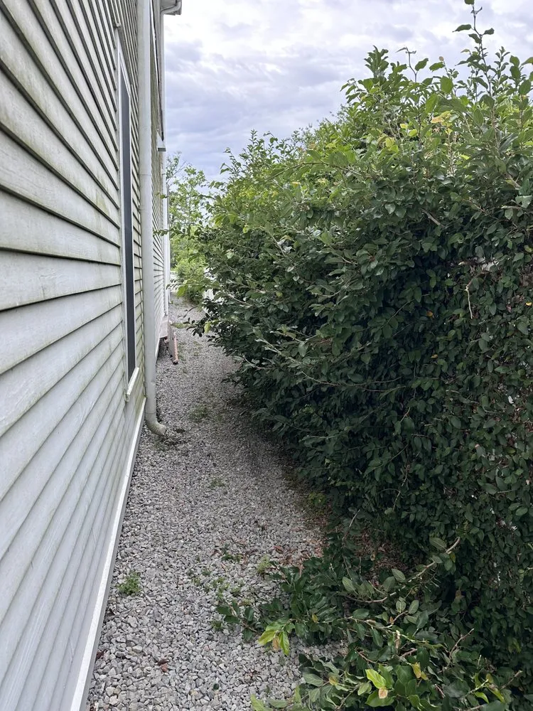 Trusted lawn mowing service in Metairie, LA - Blueskylandscaping