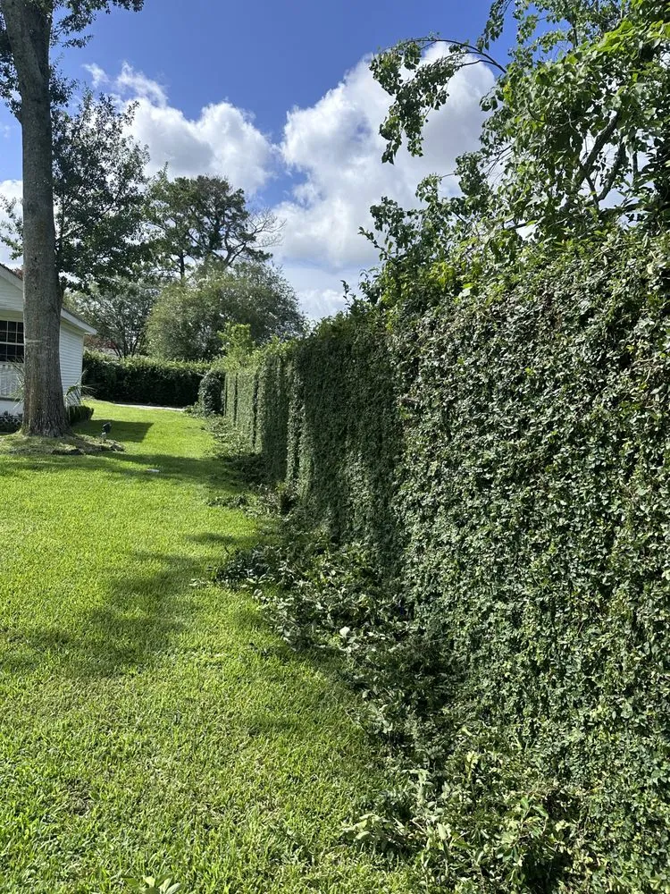 Professional garden landscaping experts serving Metairie, LA - Blueskylandscaping