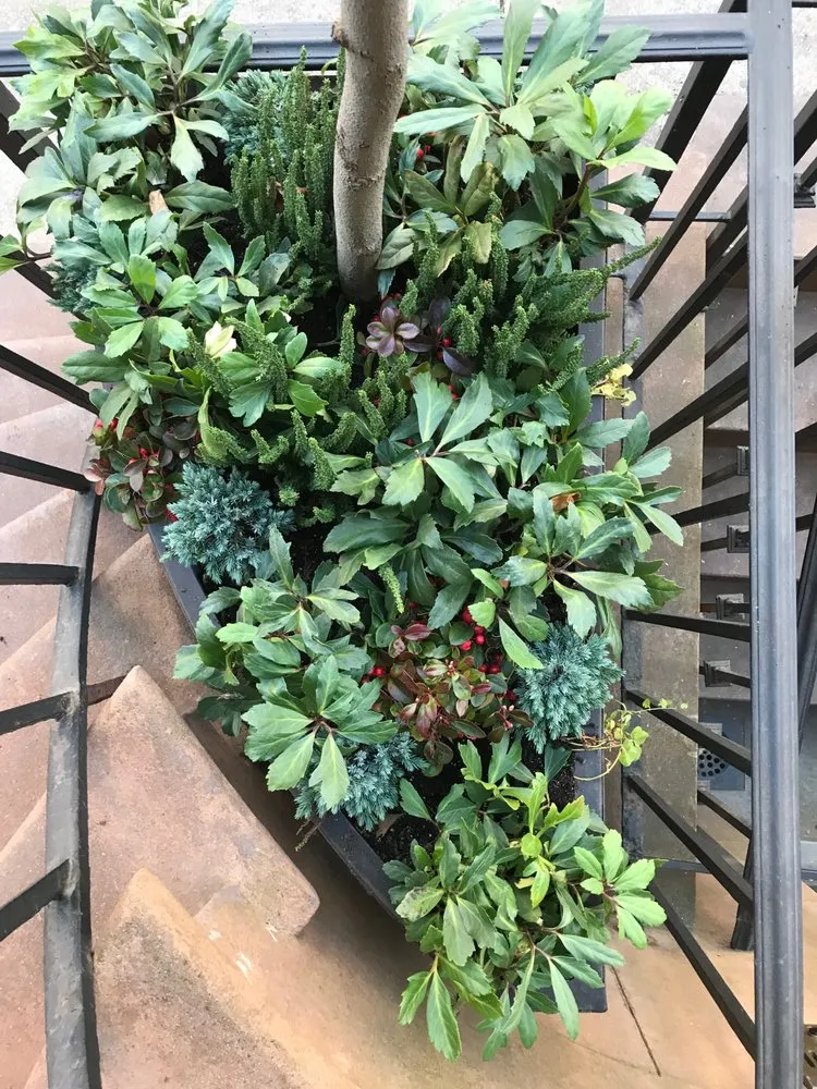 Expert outdoor landscaping in New York, NY - Bluestar Gardens