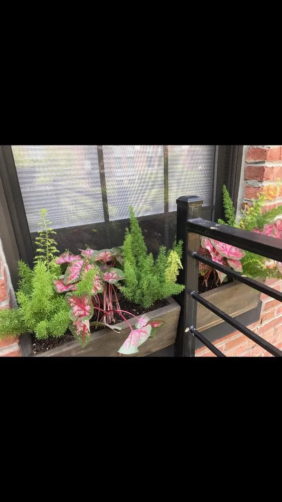 Reliable lawn care service for residential properties across New York, NY - Bluestar Gardens