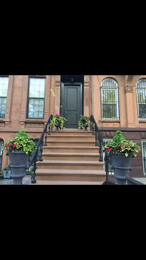 Expert lawn care service near you across New York, NY - Bluestar Gardens