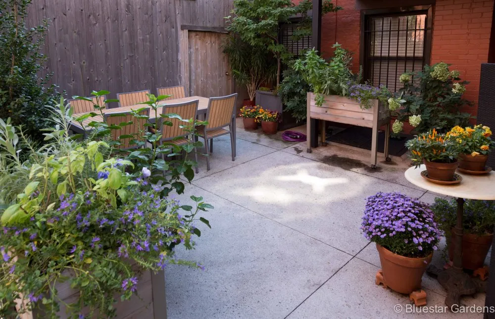 Custom garden landscaping for outdoor upgrades across New York, NY - Bluestar Gardens