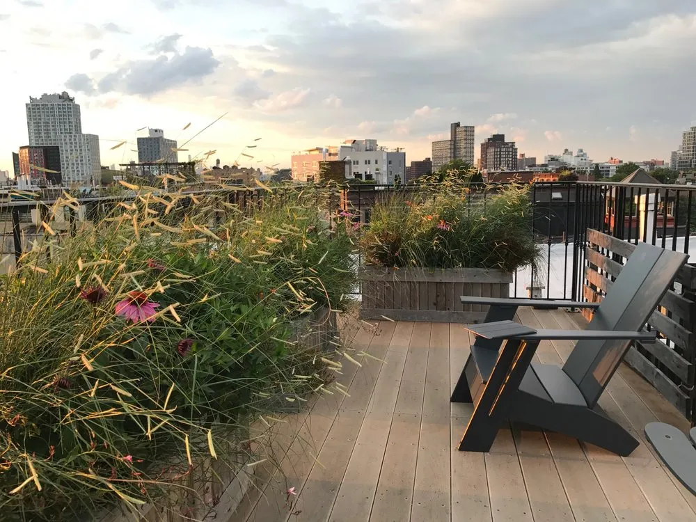 Professional lawn care service near you across New York, NY - Bluestar Gardens