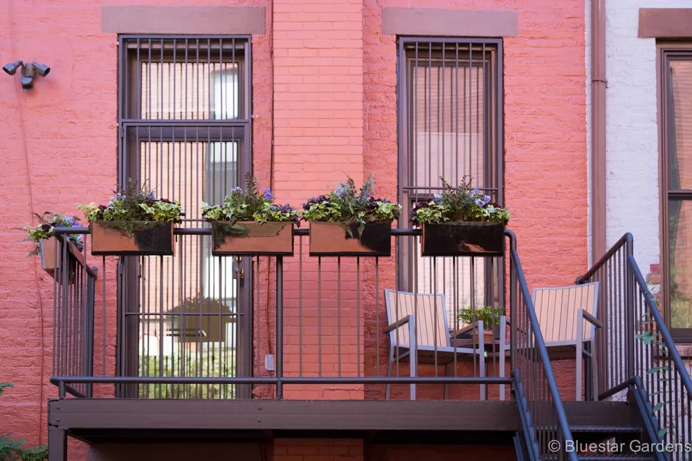 Custom yard cleanup service in New York, NY - Bluestar Gardens