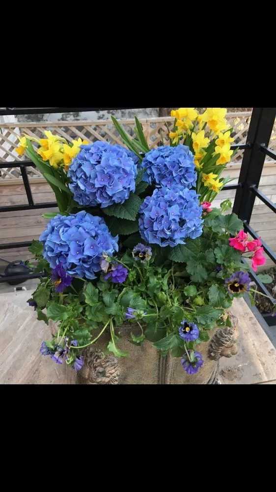 Top-rated landscaping services experts serving New York, NY - Bluestar Gardens