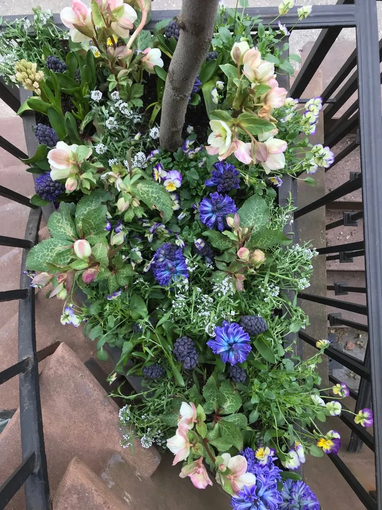 Affordable lawn mowing service for year-round maintenance in New York, NY by Bluestar Gardens