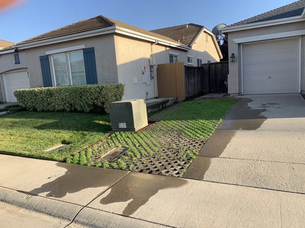 Affordable lawn care service experts serving Elk Grove, CA - BlueStar Landscape Solutions