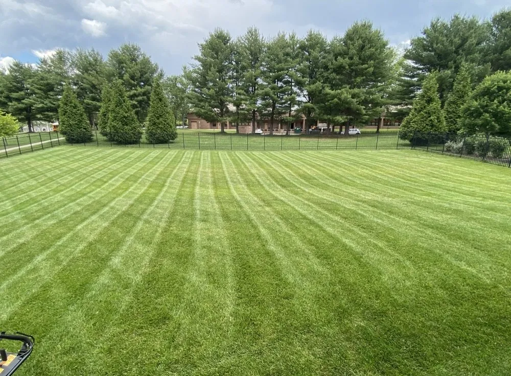 Top-rated yard maintenance in Germantown, MD - BlueStar Landscaping