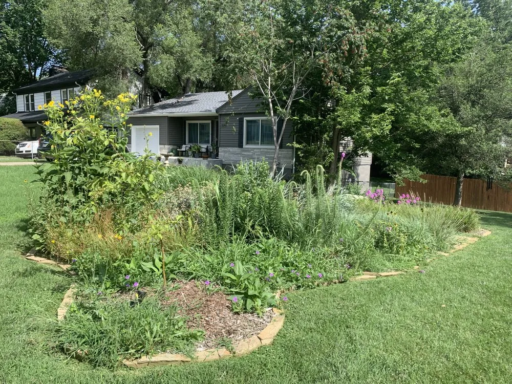 Reliable yard cleanup service in Kansas City, MO by Bluestem Habitat Restoration