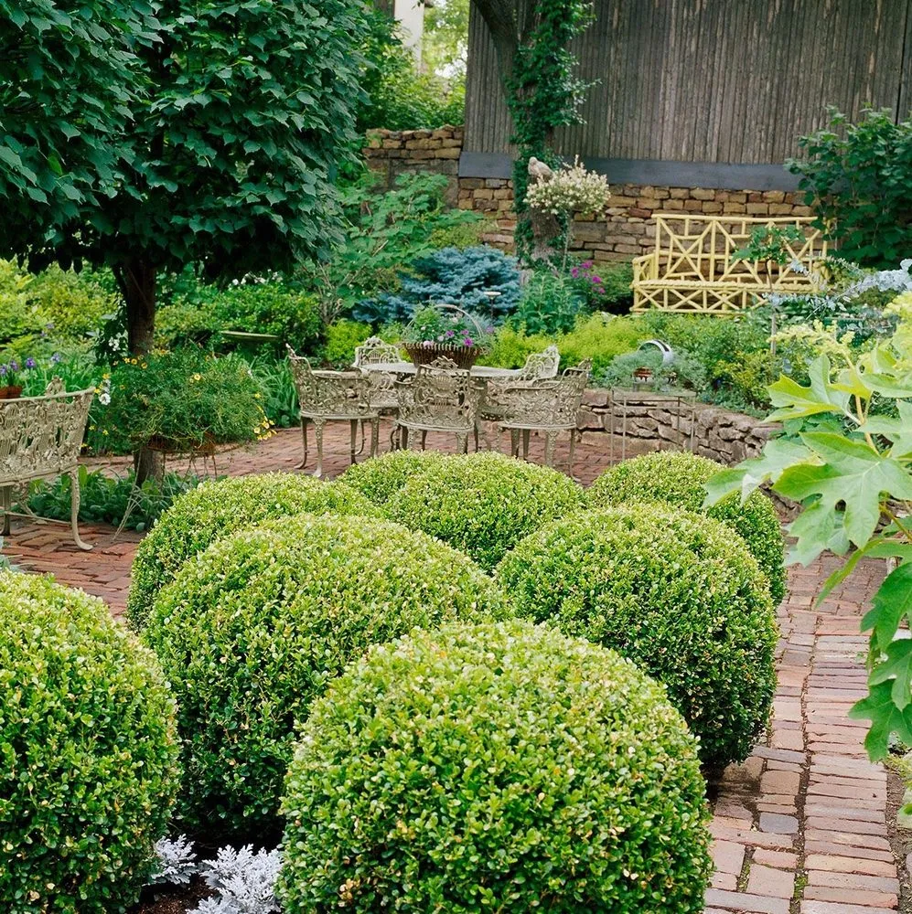 Professional yard maintenance for beautiful yards in Kissimmee, FL by Bluestem Landscape Experts