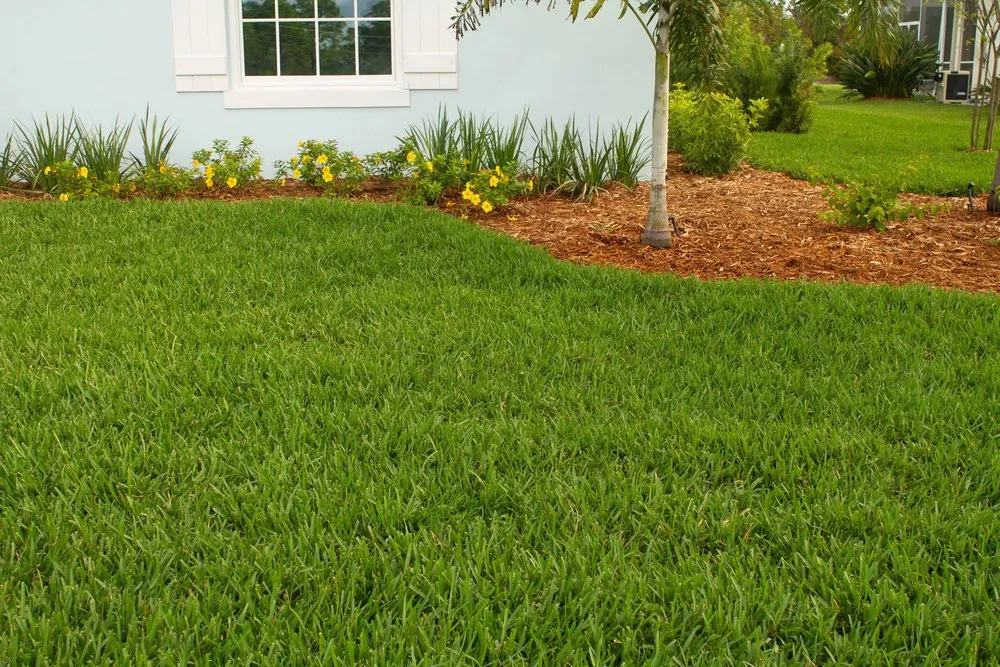 Local landscape installation in Kissimmee, FL - Bluestem Landscape Experts