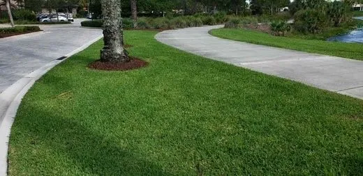 Top-rated lawn mowing service in Kissimmee, FL by Bluestem Landscape Experts