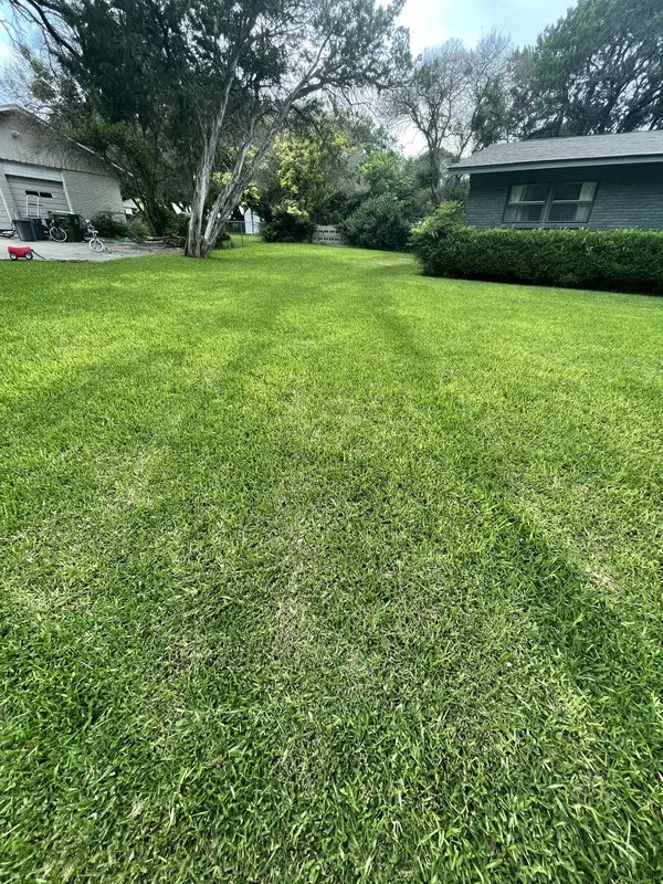 Reliable landscape design for residential properties across Kissimmee, FL - Bluestem Landscape Experts