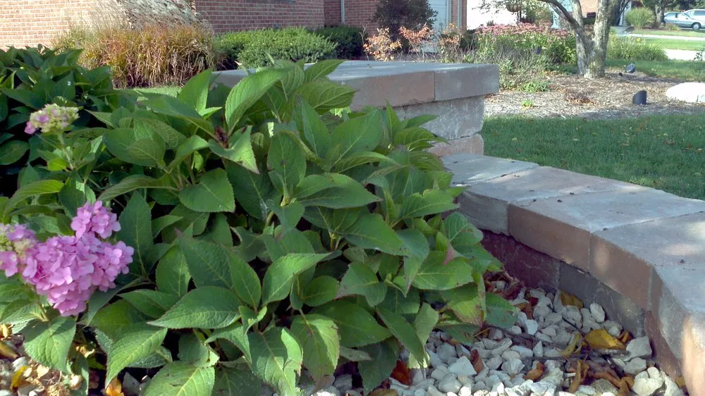 Reliable residential landscaping for residential properties across New Lenox, IL - Bluestone Landscape