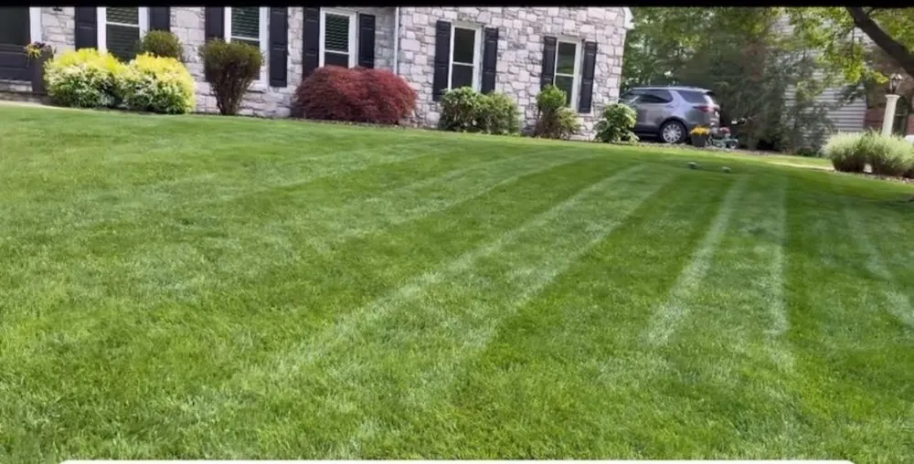 Custom landscape design in Lancaster, PA by Bluestreak Greenscapes