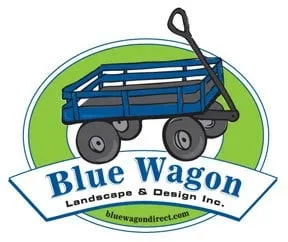 Affordable lawn mowing service in Lafayette, CA by Bluewagon Landscape & Design