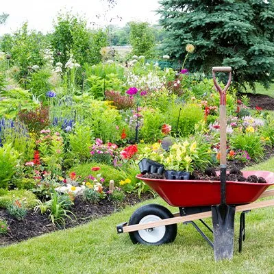 Custom outdoor landscaping in Castle Hayne, NC - BlueWaters Landscaping