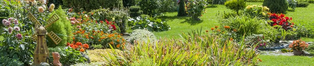 Professional residential landscaping with custom design across Castle Hayne, NC - BlueWaters Landscaping