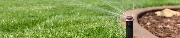 BlueWaters Landscaping Logo