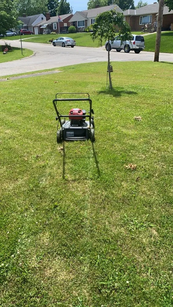 Custom yard cleanup service experts serving Hamilton, OH - Blueyed Lawn Guy