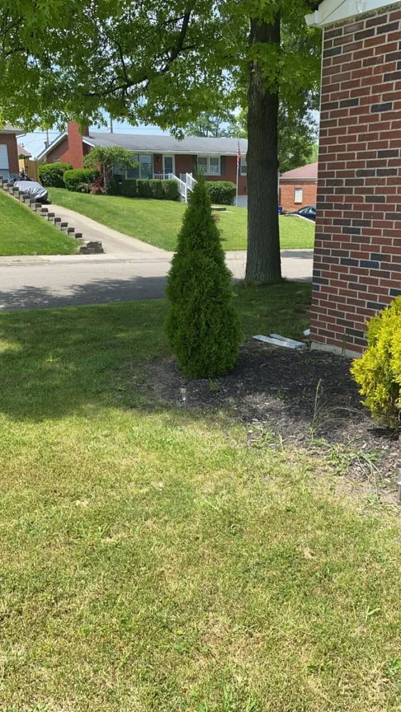 Professional yard cleanup service in Hamilton, OH - Blueyed Lawn Guy