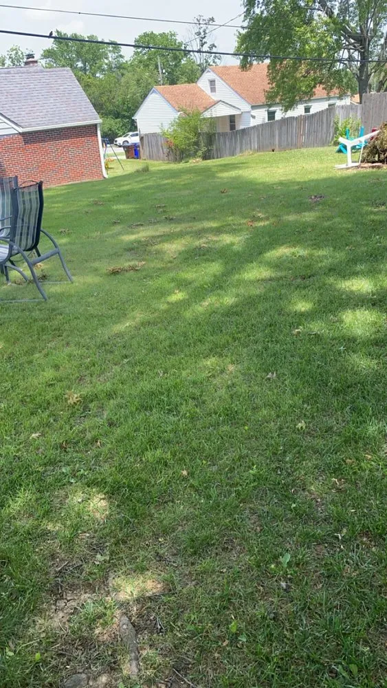 Professional landscape design near you across Hamilton, OH - Blueyed Lawn Guy