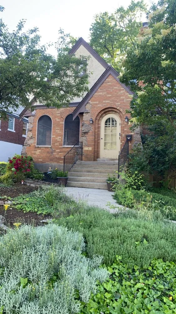 Custom yard cleanup service experts serving Hamilton, OH - Blueyed Lawn Guy