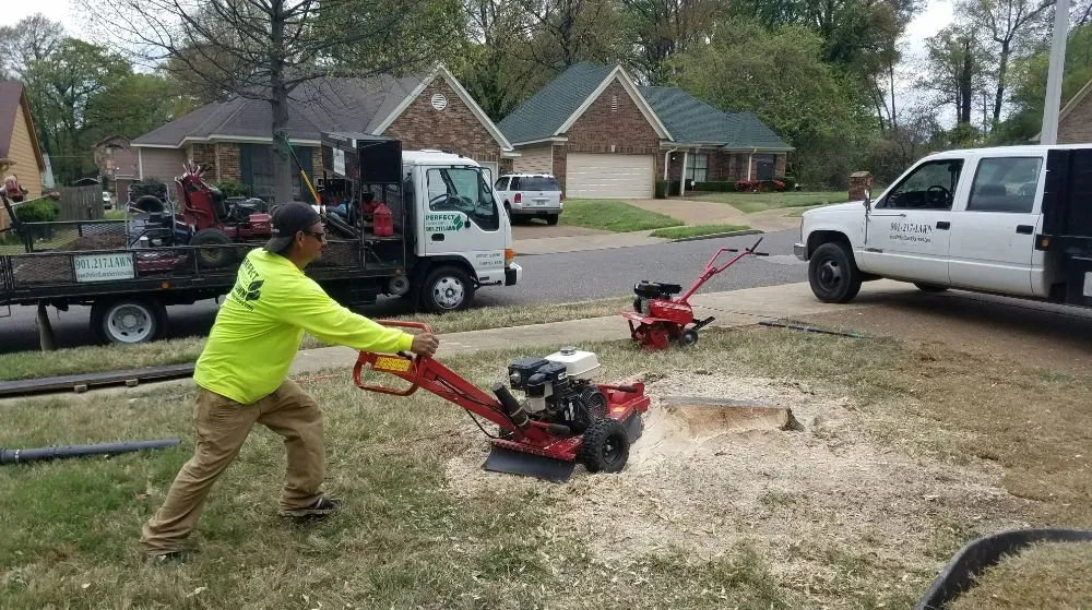 Custom landscape design for outdoor upgrades across Memphis, TN - Bluff City Landscape