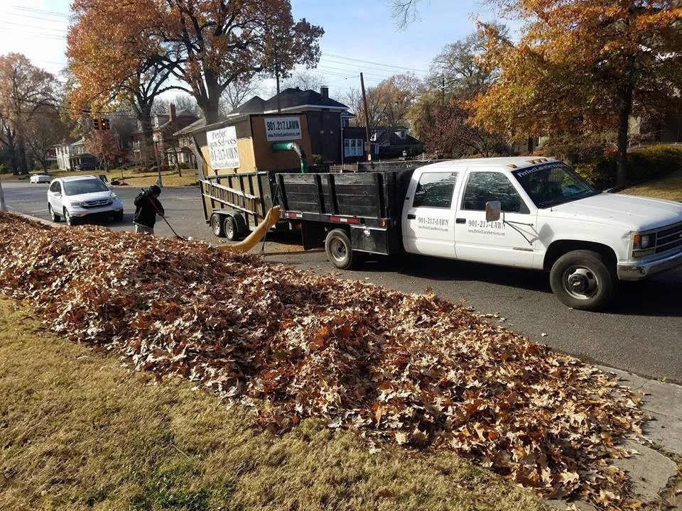 Reliable lawn care service experts serving Memphis, TN - Bluff City Landscape