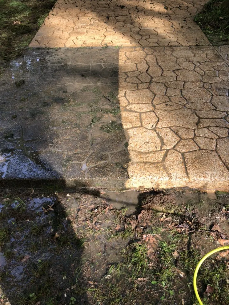 Top-rated landscape design experts serving Memphis, TN - Bluff City Outdoor Services