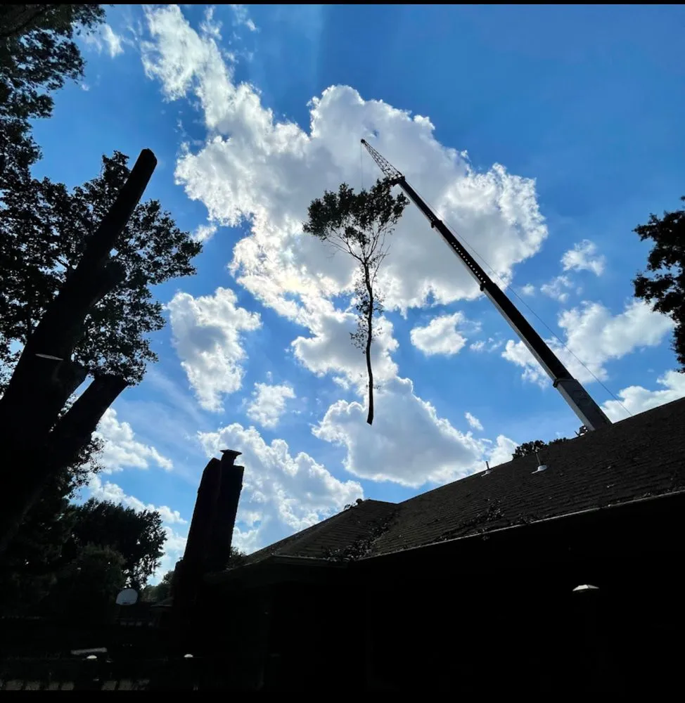 Top-rated landscaping services for homes in Collierville, TN by Bluff City Tree & Landscape