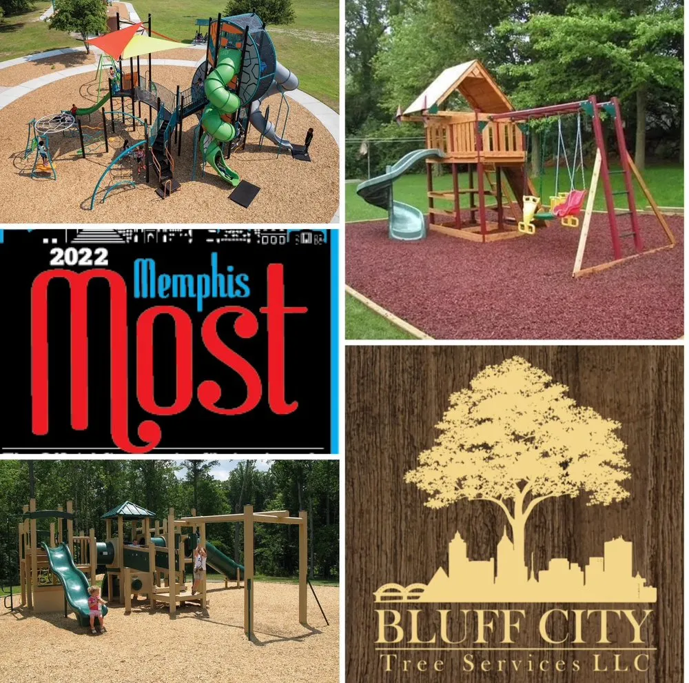 Professional outdoor landscaping in Collierville, TN - Bluff City Tree & Landscape