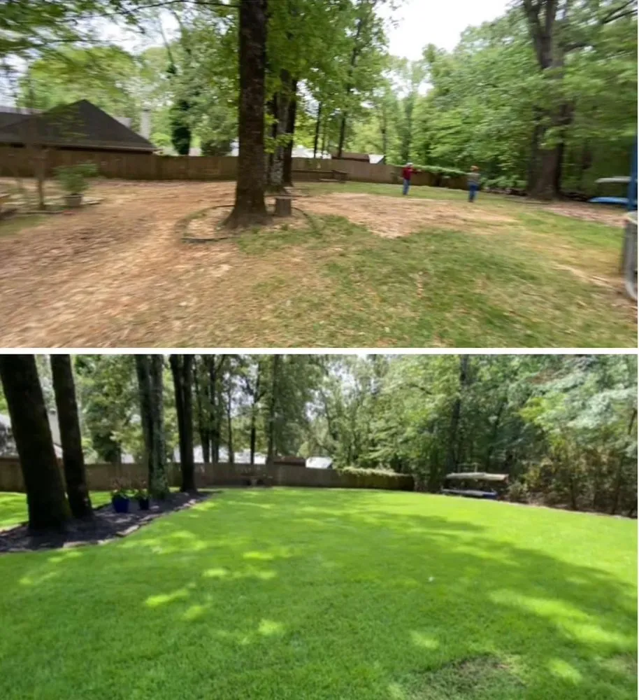 Trusted residential landscaping in Collierville, TN - Bluff City Tree & Landscape