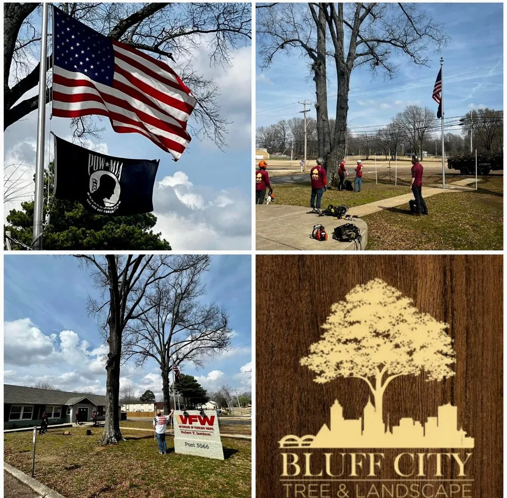Top-rated lawn mowing service near you in Collierville, TN by Bluff City Tree & Landscape