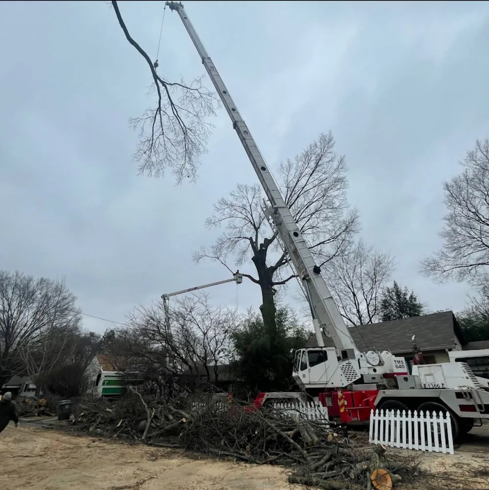 Top-rated yard maintenance in Collierville, TN - Bluff City Tree & Landscape