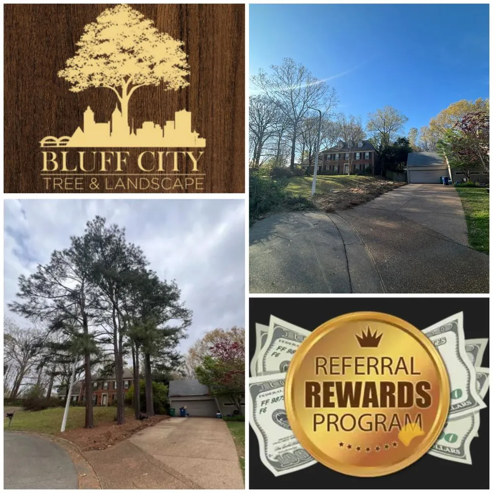 Expert lawn mowing service for outdoor upgrades in Collierville, TN by Bluff City Tree & Landscape