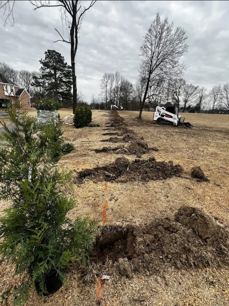 Reliable landscaping services for homes across Collierville, TN - Bluff City Tree & Landscape