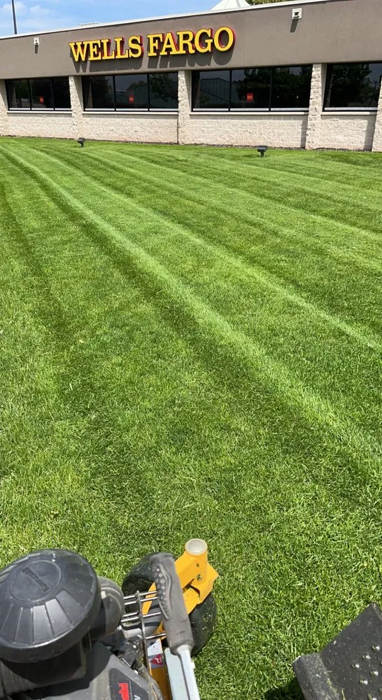 Local yard cleanup service in Houston, MN - Bluff Country Outdoor Services