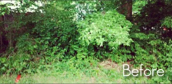 Affordable garden landscaping experts serving Howard, OH - BluGrass Lawn Care And Landscaping