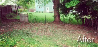 Affordable landscape design in Howard, OH - BluGrass Lawn Care And Landscaping