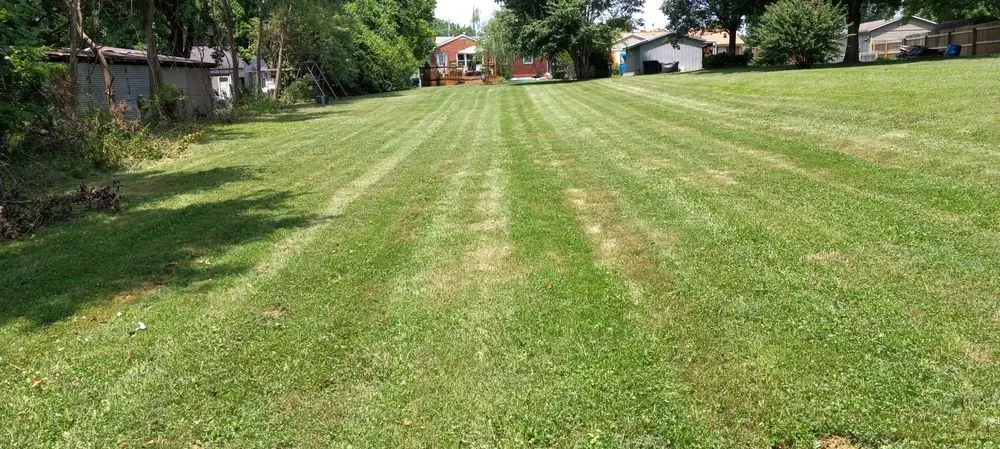 Reliable residential landscaping for residential properties across Taylorsville, KY - Blugrazzers lawn an landscape