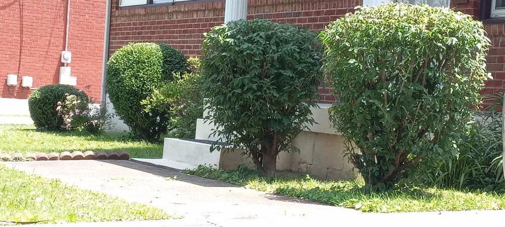 Custom landscape design for beautiful yards across Taylorsville, KY - Blugrazzers lawn an landscape