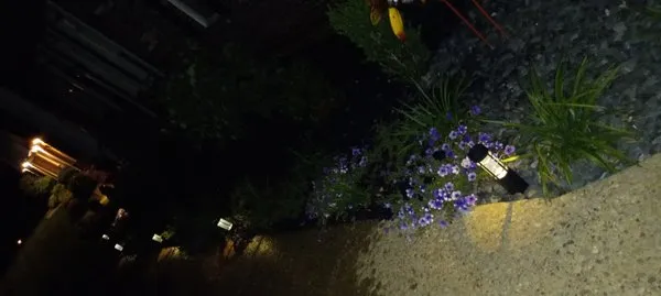 Blugrazzers lawn an landscape Logo