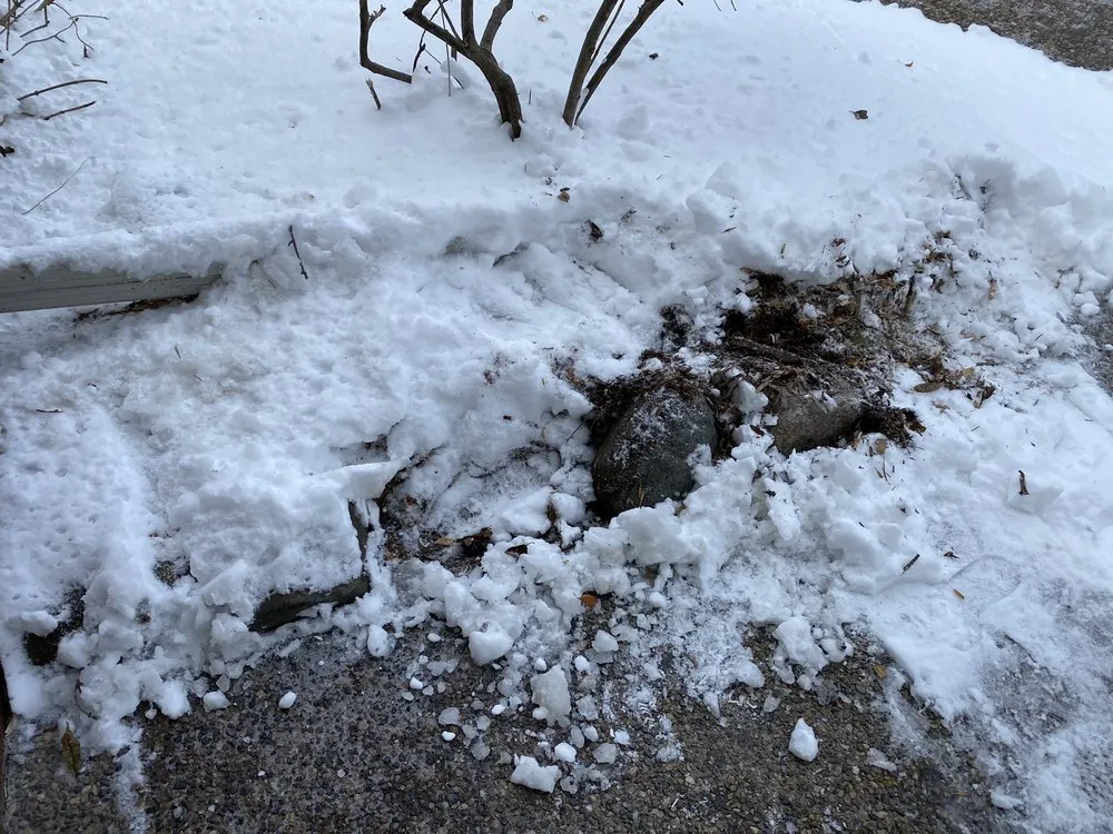 Trusted yard cleanup service in Saint Paul, MN - Bluhm Brothers Landscaping