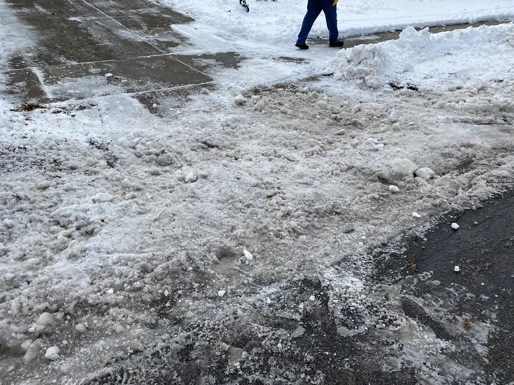 Professional landscaping services in Saint Paul, MN - Bluhm Brothers Landscaping